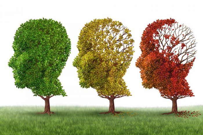 Alzheimer en ancianos | Maid In Barcelona