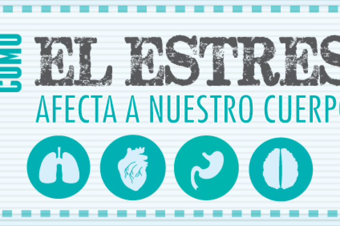 Cabecera infografía del estrés | Maid in Barcelona